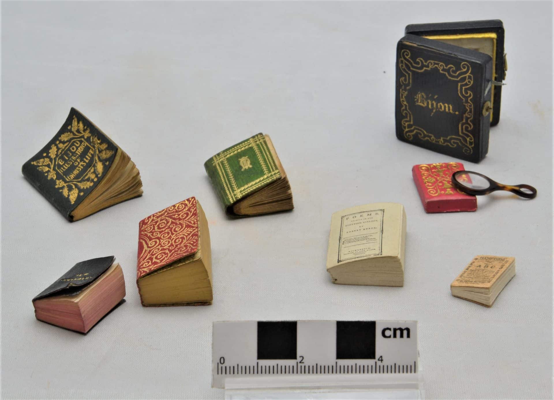 Cabinets of Curiosity 6 F0315 Miniature books