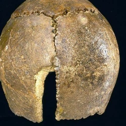 Stone Age to Iron Age 13 Swanscombe Man skull