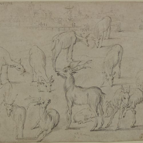 Master 2 Studies of Deer F3644_7 P41