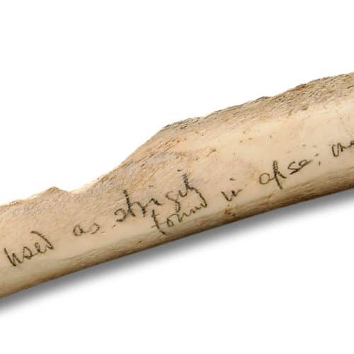 Romans Resources Bone strigil - close-up