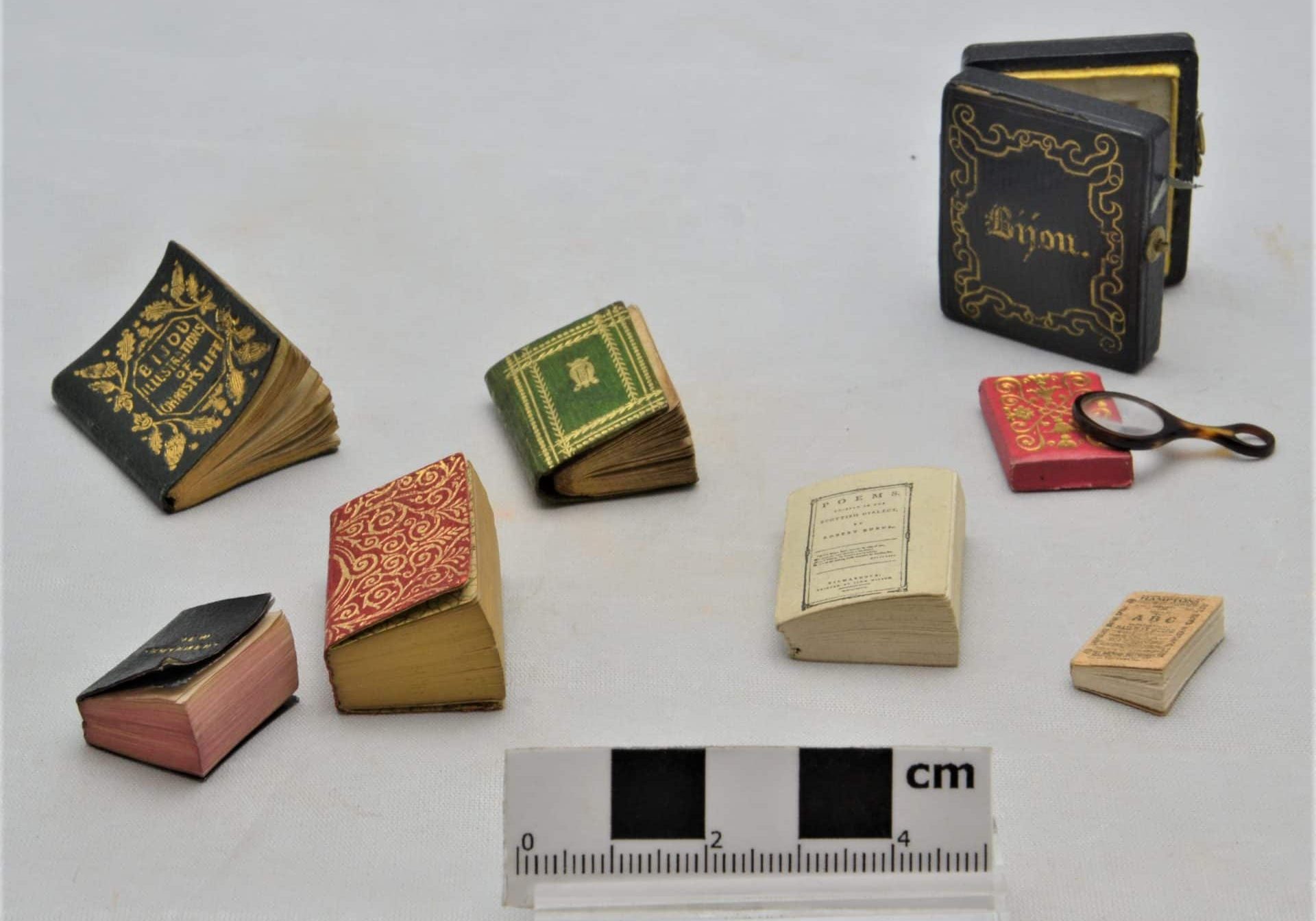 Cabinets of Curiosity 6 F0315 Miniature books