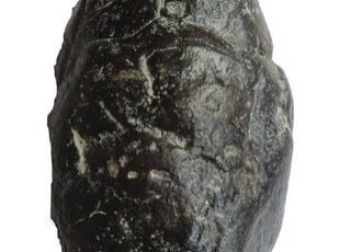 Rocks and Fossils 6 FM 2017 8 4 Coprolite